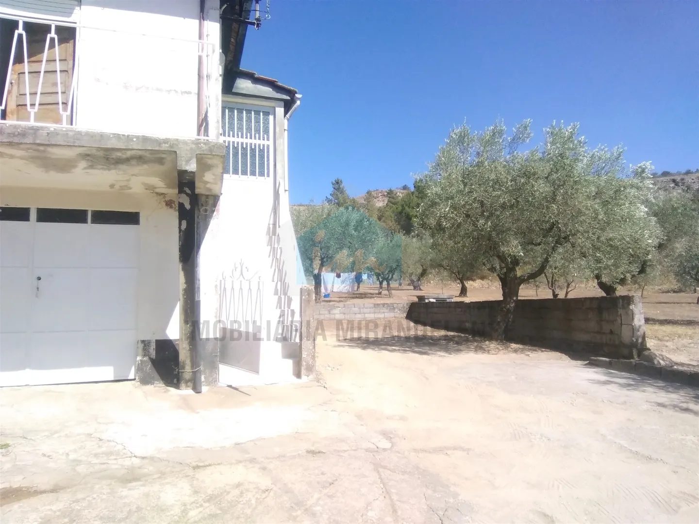 Carvalho de Egas, Vila Flor photo 4