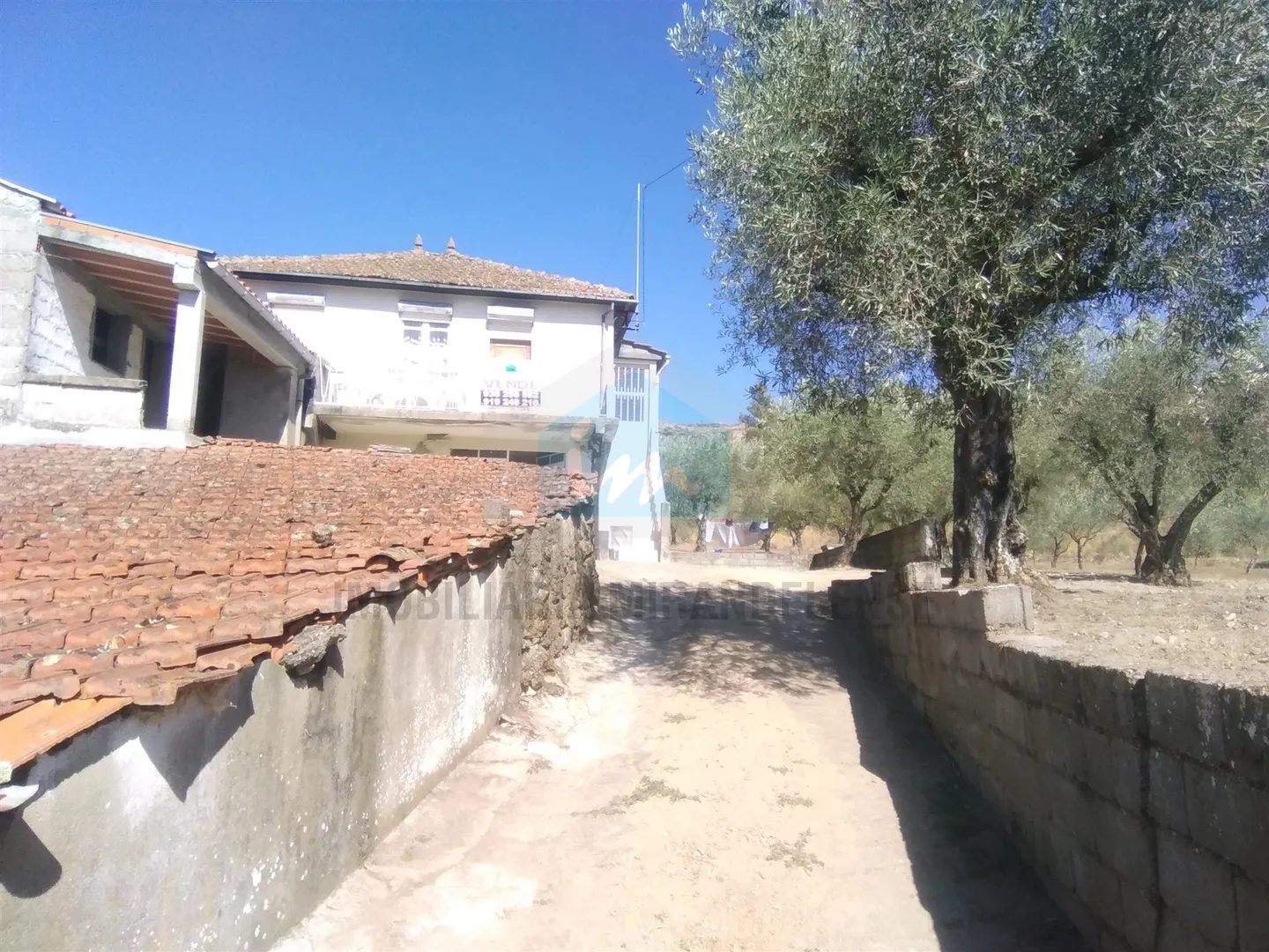 Carvalho de Egas, Vila Flor photo 2