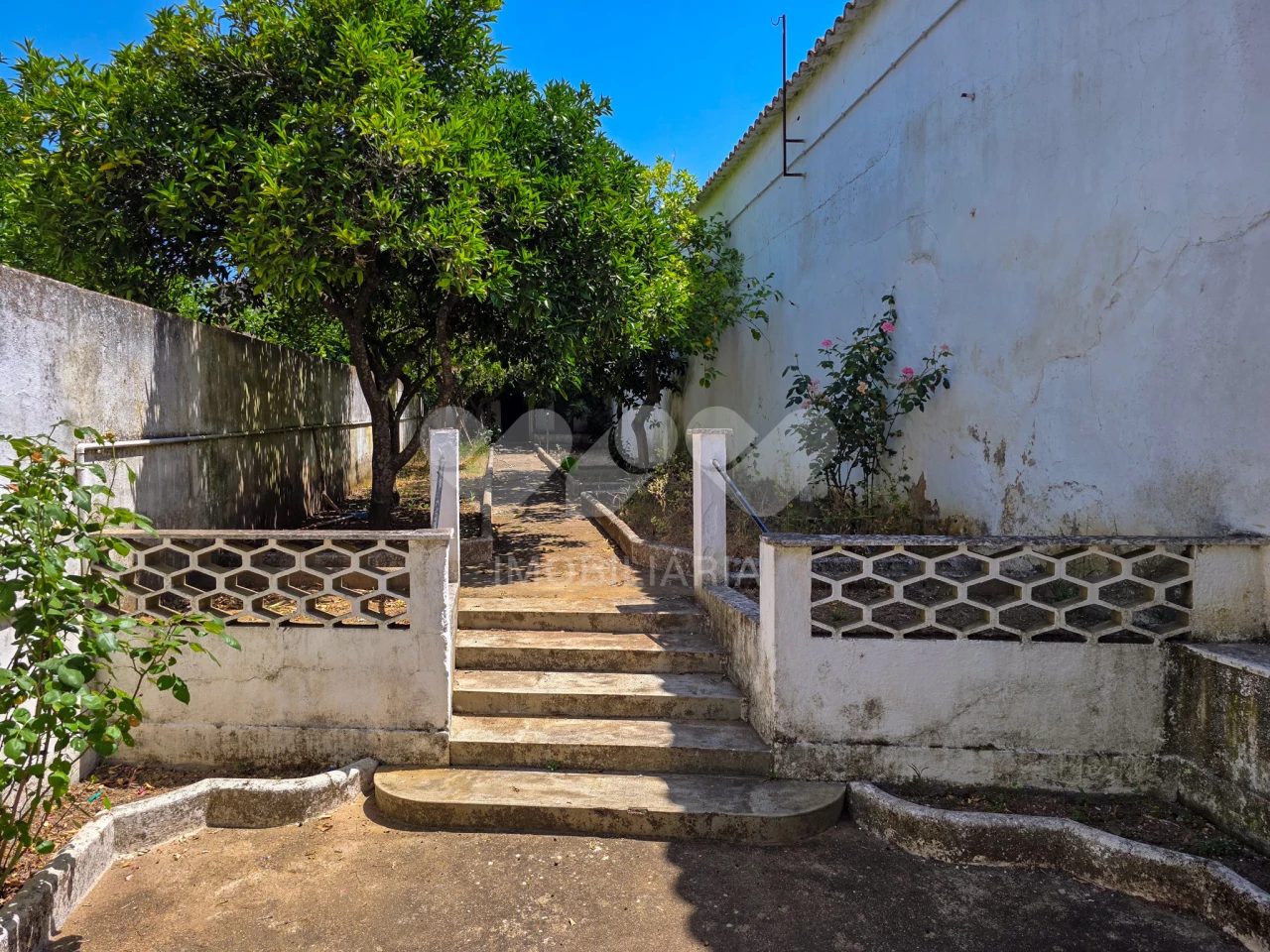 Cuba, Beja photo 14