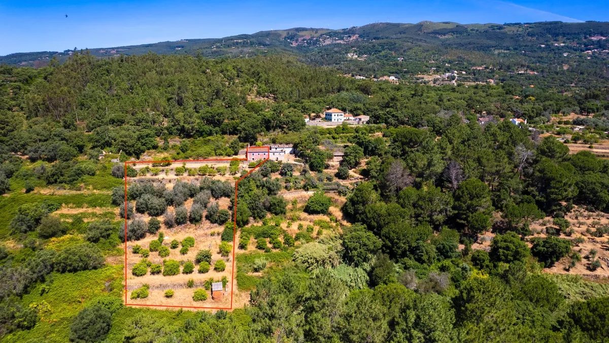 Horta Velha, Monchique, Faro photo 2
