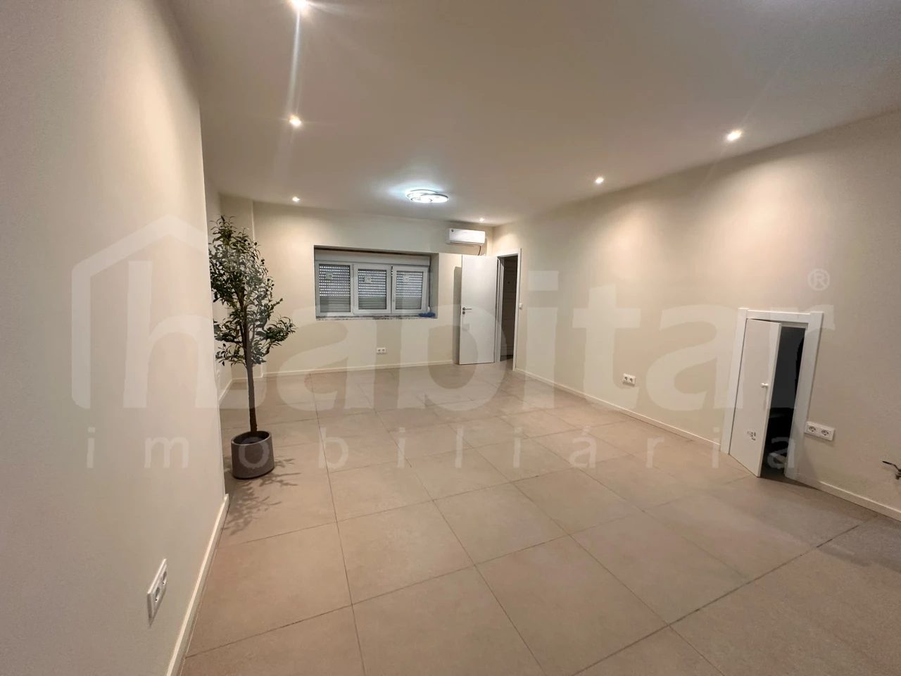 Benavente, Santarém photo 5