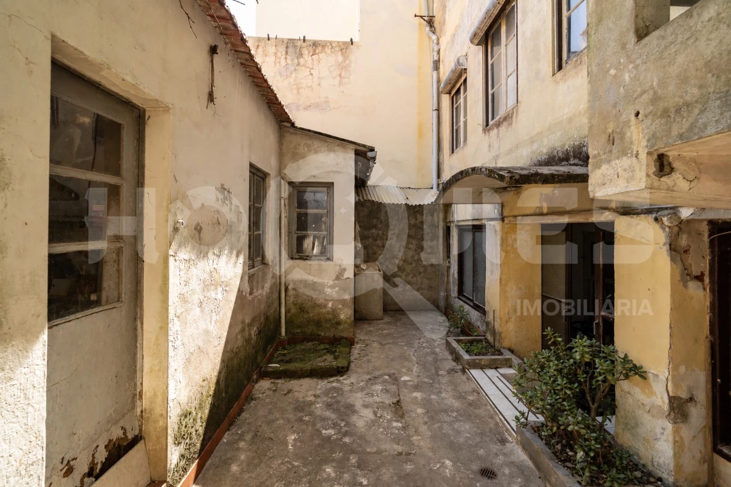São Julião da Figueira da Foz, Figueira da Foz photo 9