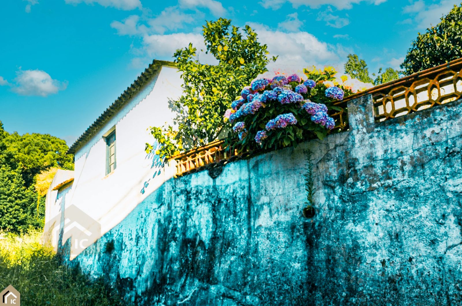 Rua David da Fonseca, Alcobaça photo 2