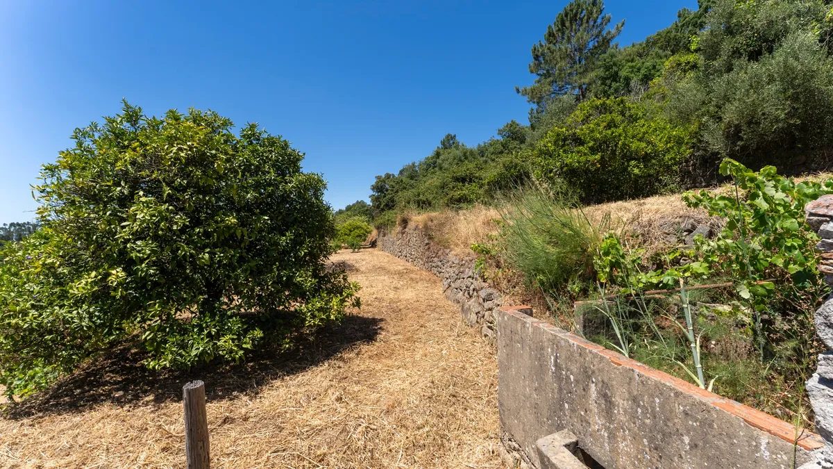 Horta Velha, Monchique, Faro photo 9