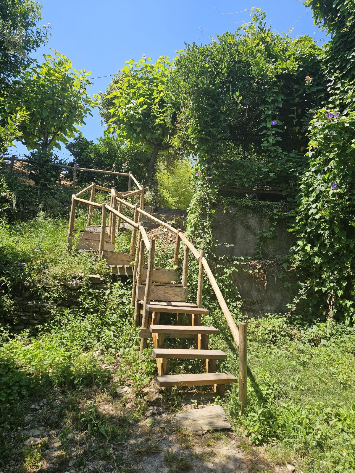R. António da Silva 712, Vila Cova de Alva, Coimbra District, Portugal photo 4