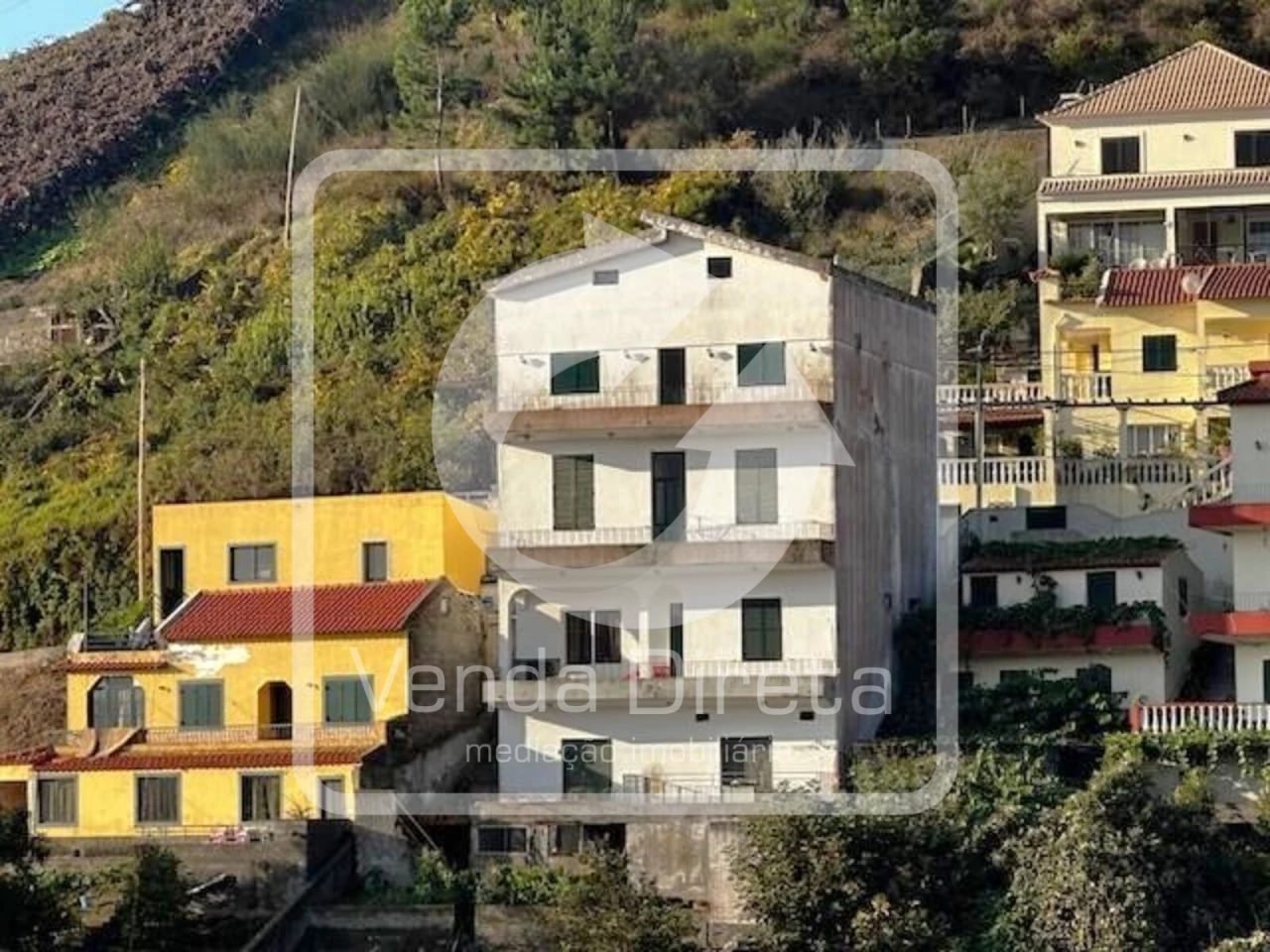 Câmara de Lobos, Câmara de Lobos photo 5