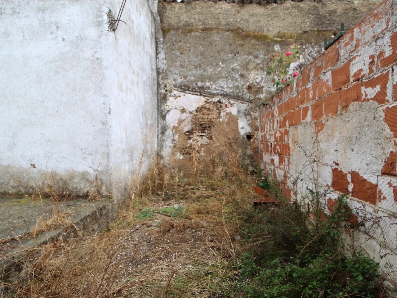 Beringel, Beja photo 4