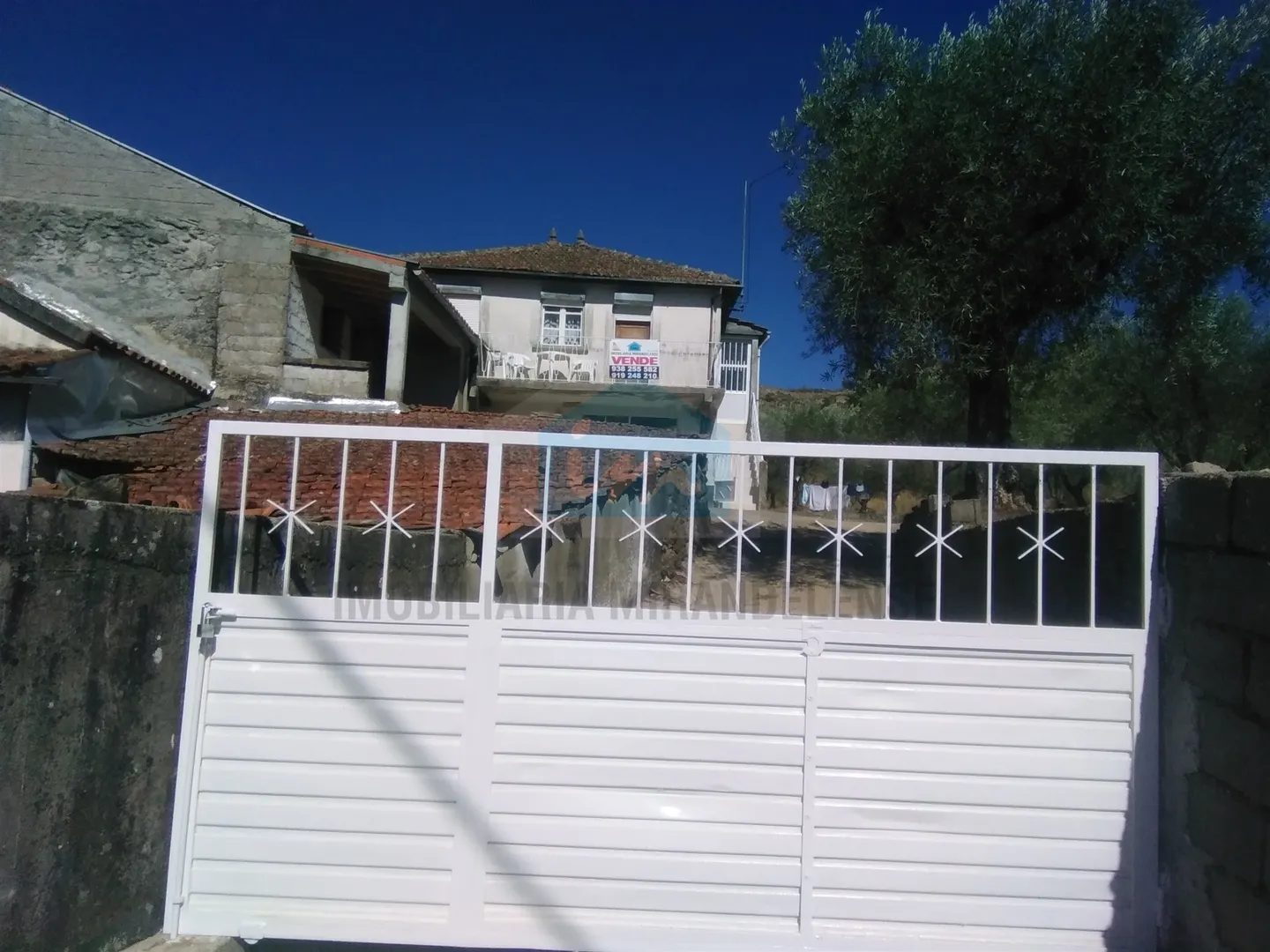 Carvalho de Egas, Vila Flor photo 3