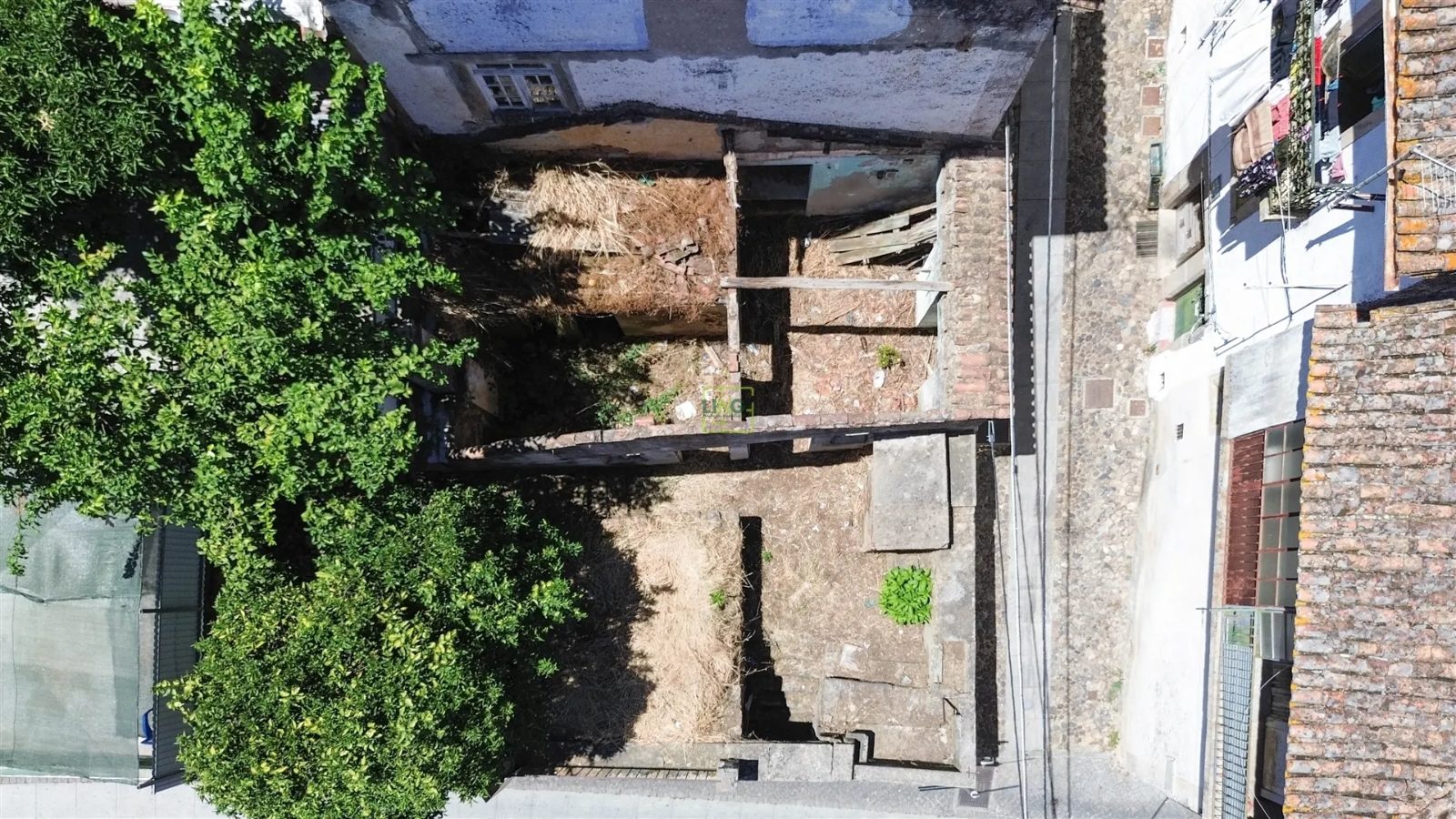 Castelo Branco, Castelo Branco photo 8