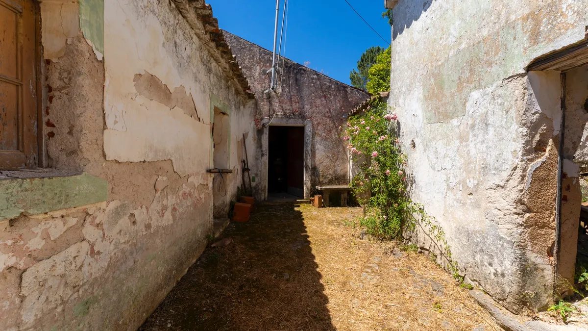 Horta Velha, Monchique, Faro photo 10