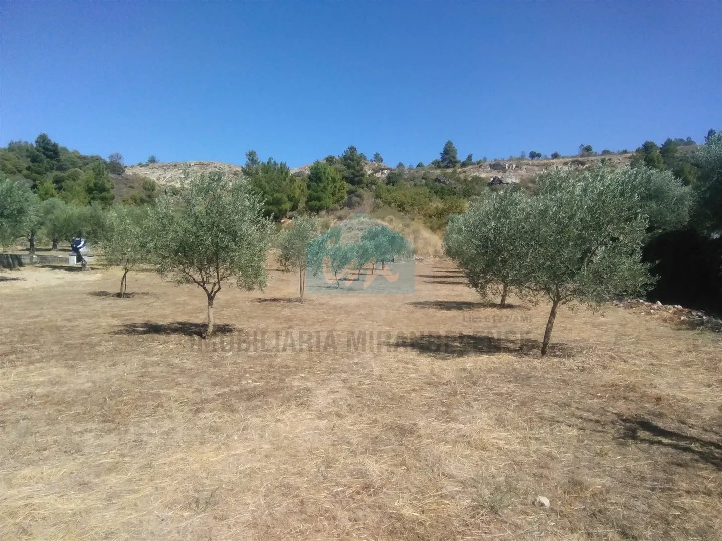 Carvalho de Egas, Vila Flor photo 8