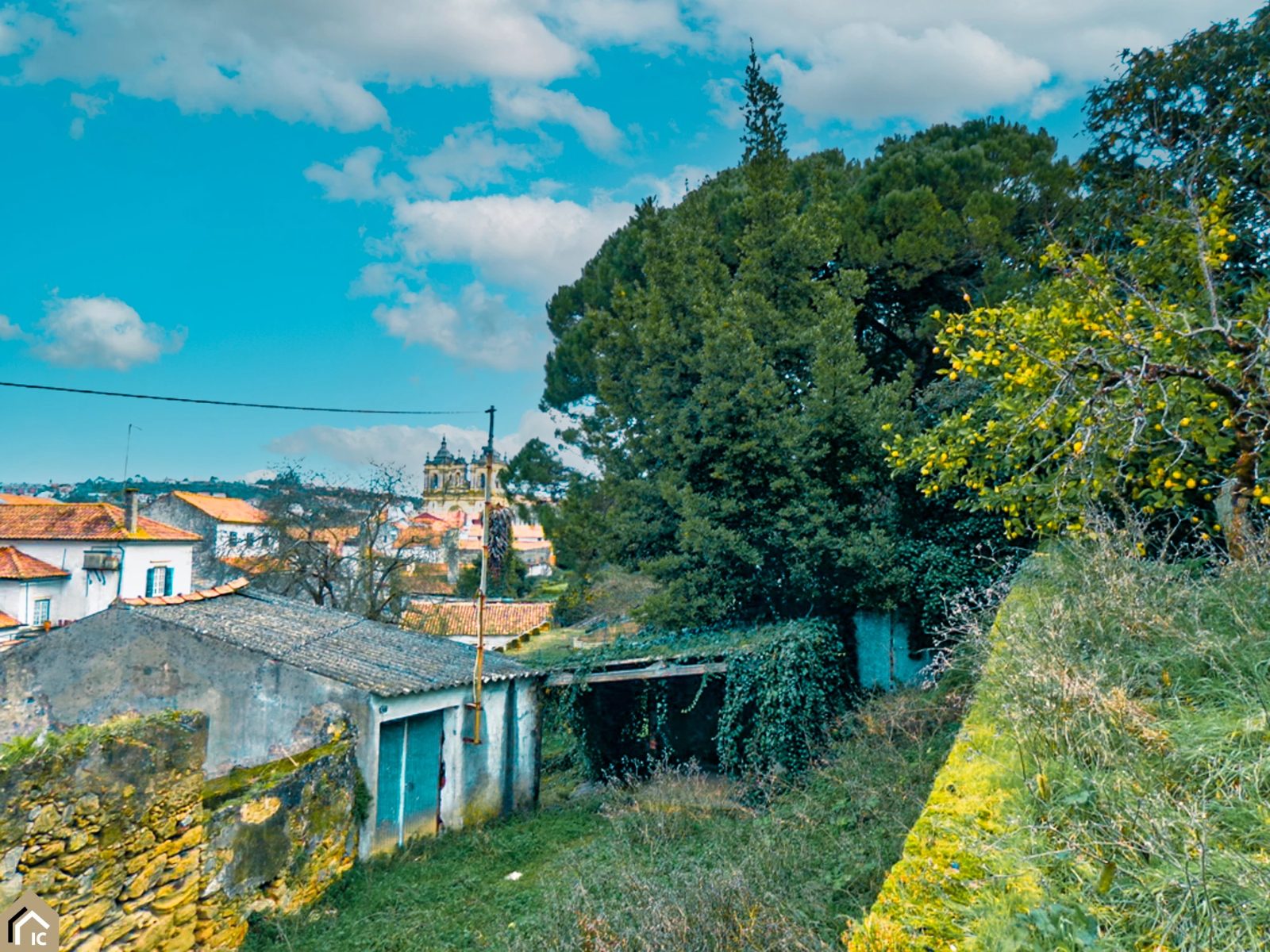 Rua David da Fonseca, Alcobaça photo 10