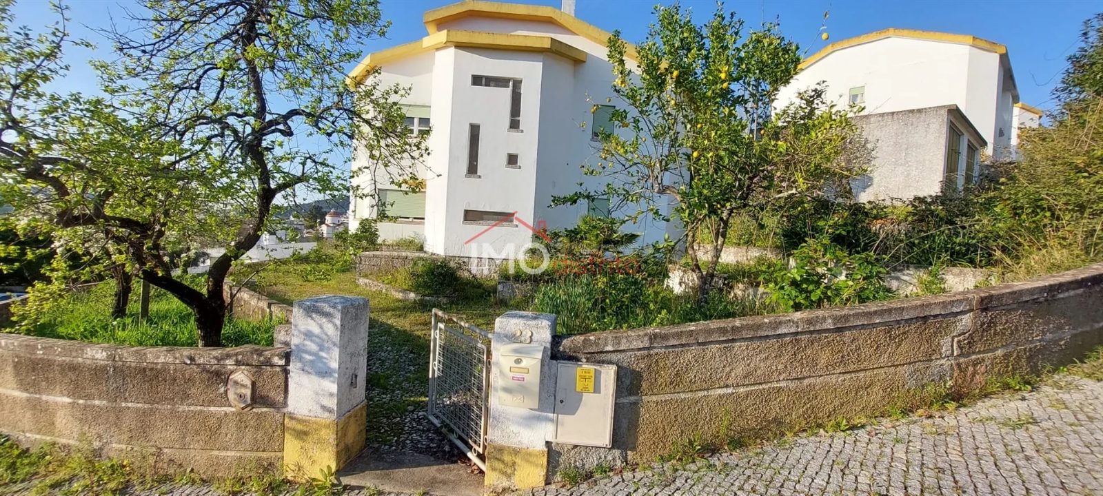 Sé e São Lourenço, Portalegre photo 2